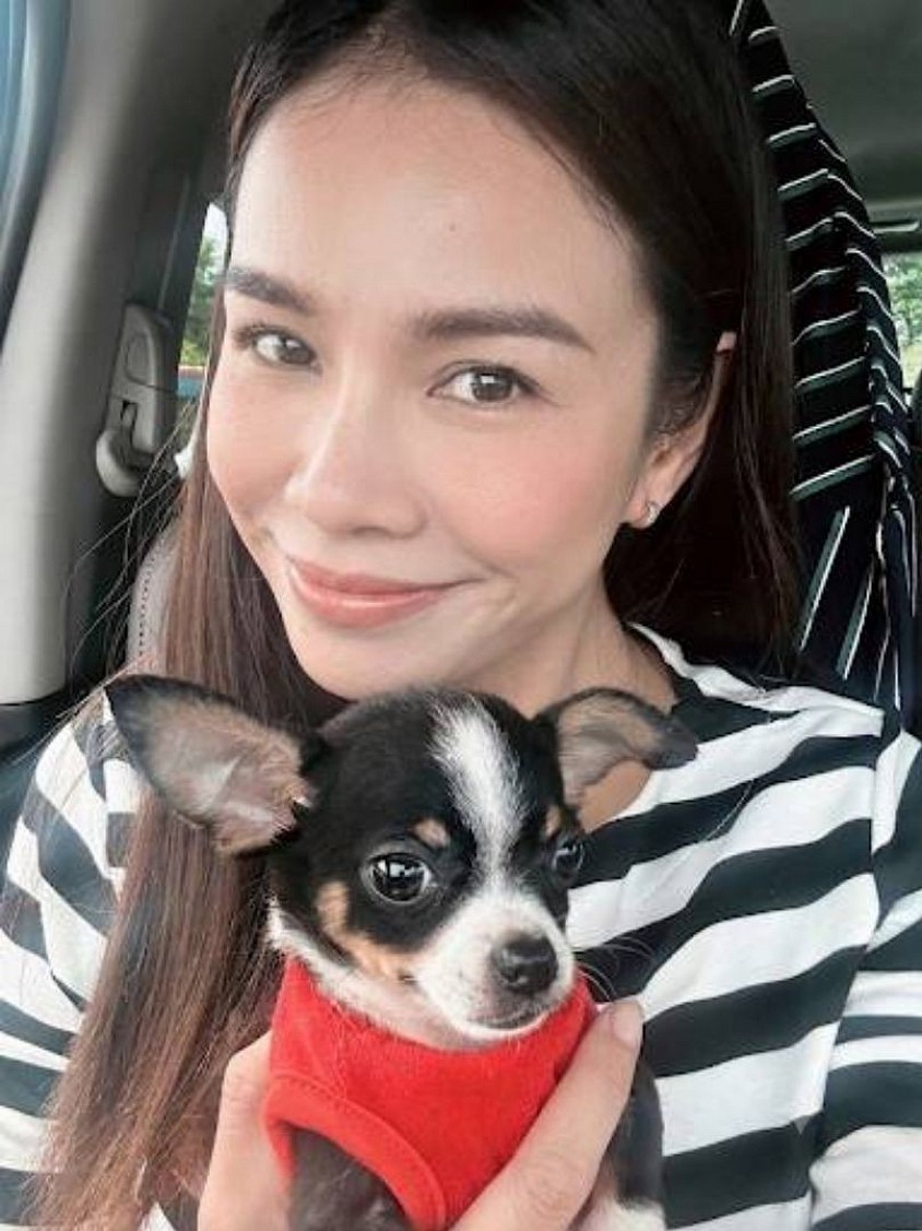 VIP pet transportation service