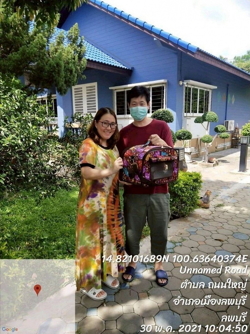 Picking up a kitten from Bangkok and delivering it to Lopburi.
