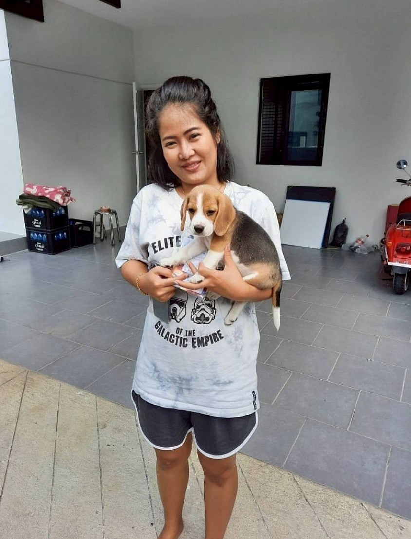 Picking up a dog from Bangkok and delivering it to Chanthaburi.