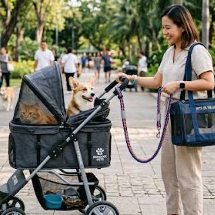 รถเข็นส่งสุนัขสำหรับไปโรงพยาบาล