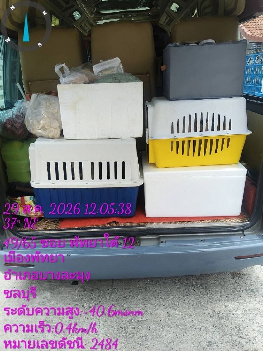 รถตู้รับส่งสัตว์เลี้ยง